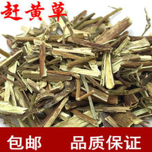 赶黄草 扯根菜 山黄鳝 水杨柳 水泽兰