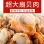港口冷冻新鲜速冻扇贝肉