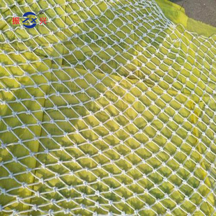 �S��ֱ�N��ɫ���������K�W ؛���K�ӾW ���B���ط��o�W