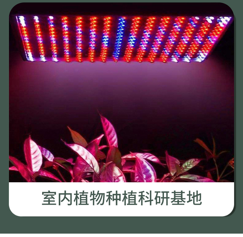 大麻灯-不带品牌名1111_13