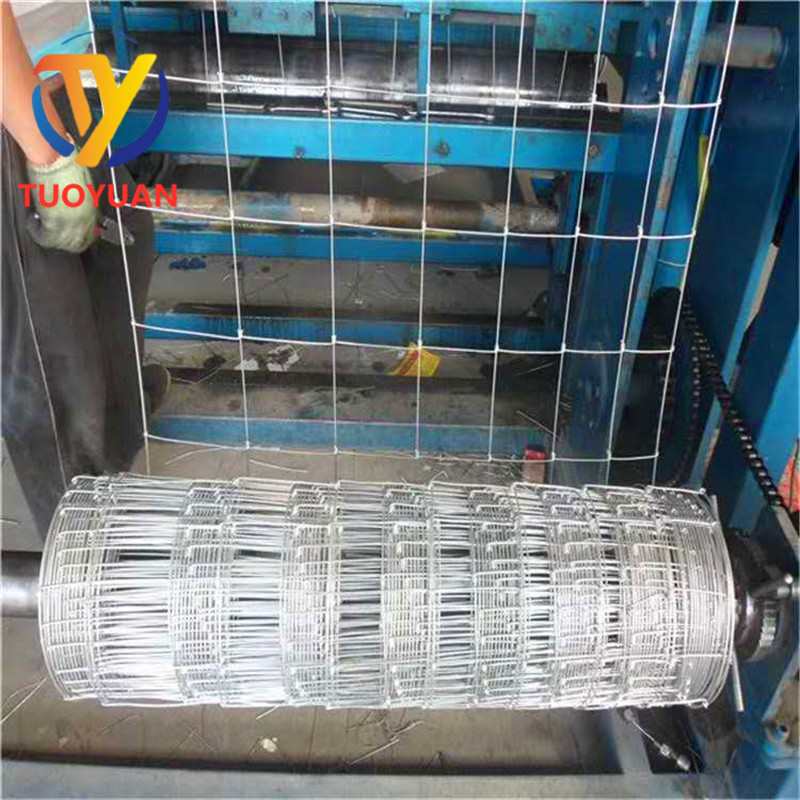 批发养殖钢丝网养牛羊鹿马围栏镀锌铁网现货果园围栏网草原铁丝网