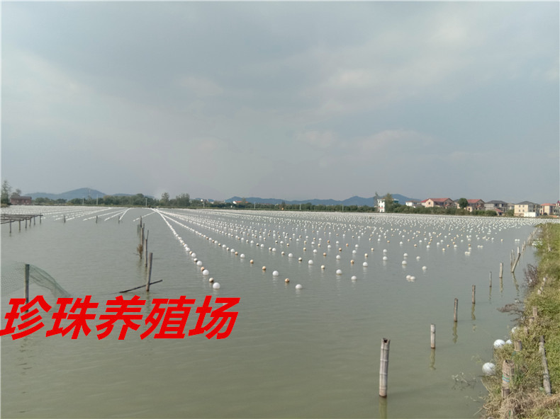 微信图片_20200306230457