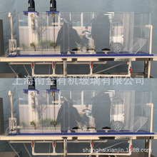 ЙCAMOˮ̎픇бСԇbO