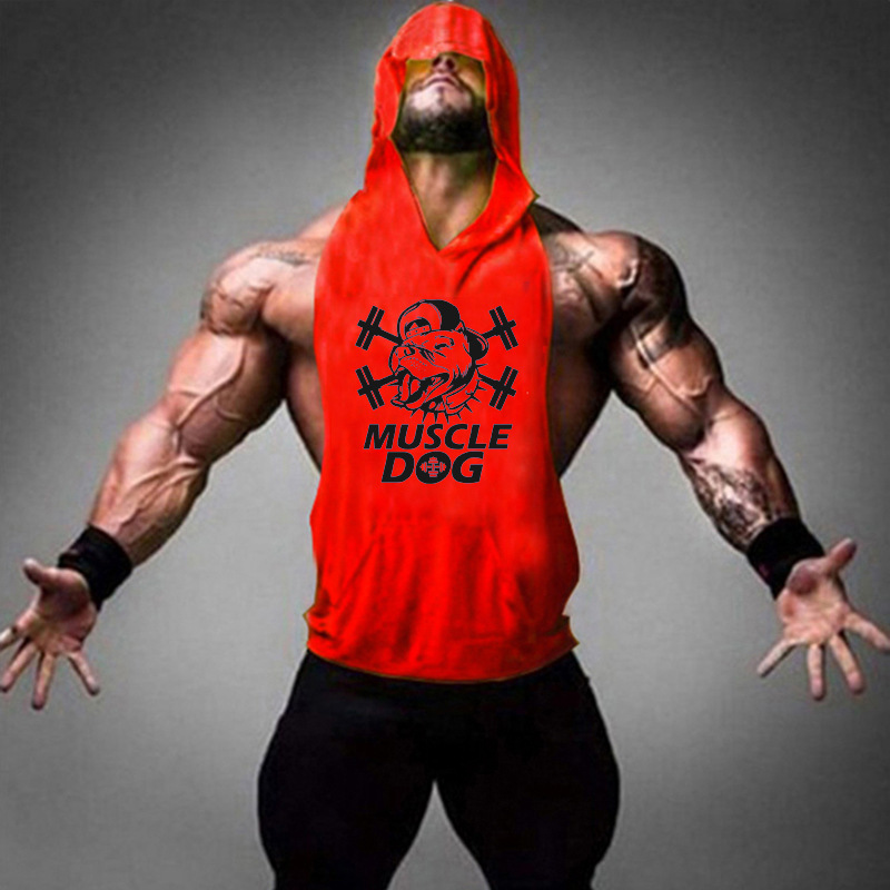 빨간색과 검은 색