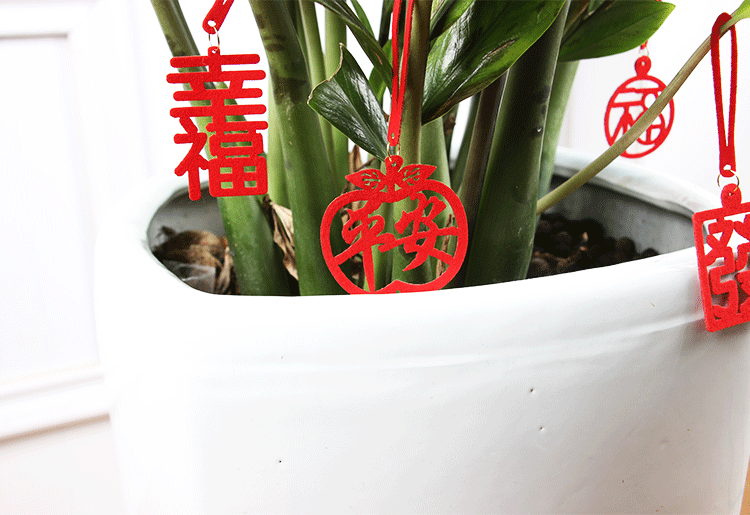 绿植挂件详情_05