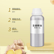 �������� �Ͻ��� ��ֲ����ȡ �B�l�o�l ��Ħ�������_���͏S��