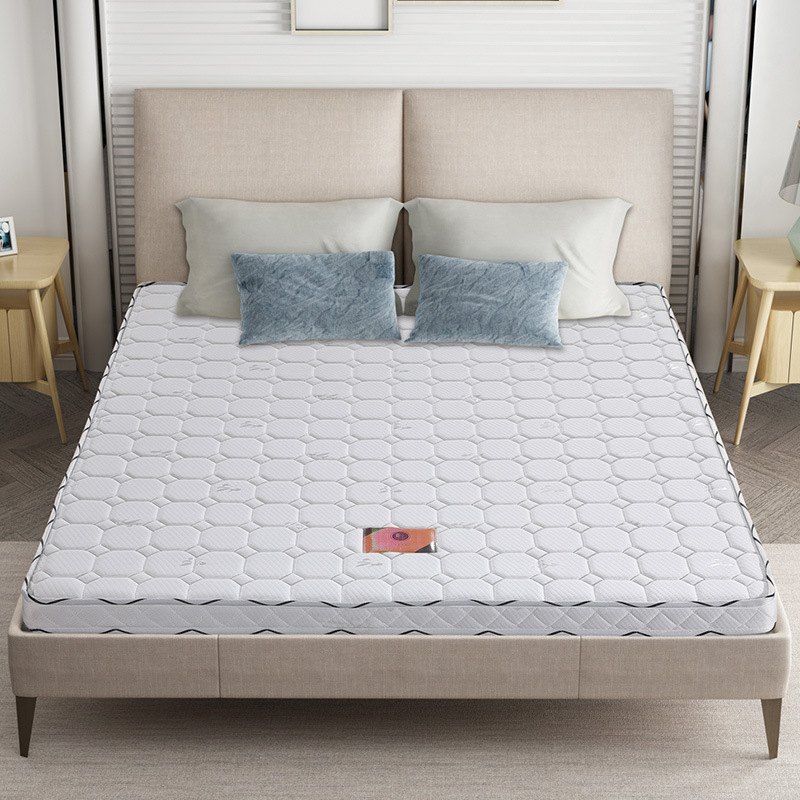 廠家直銷批發棕榈椰棕床墊 山棕棕榈席夢思 針織棉床墊可定制尺寸