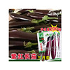 Eggplant Seed Eggplant Purple Red Eggplant Vegetable Vegetable Vegetables wholesale vegetable seeds and vegetable seeds