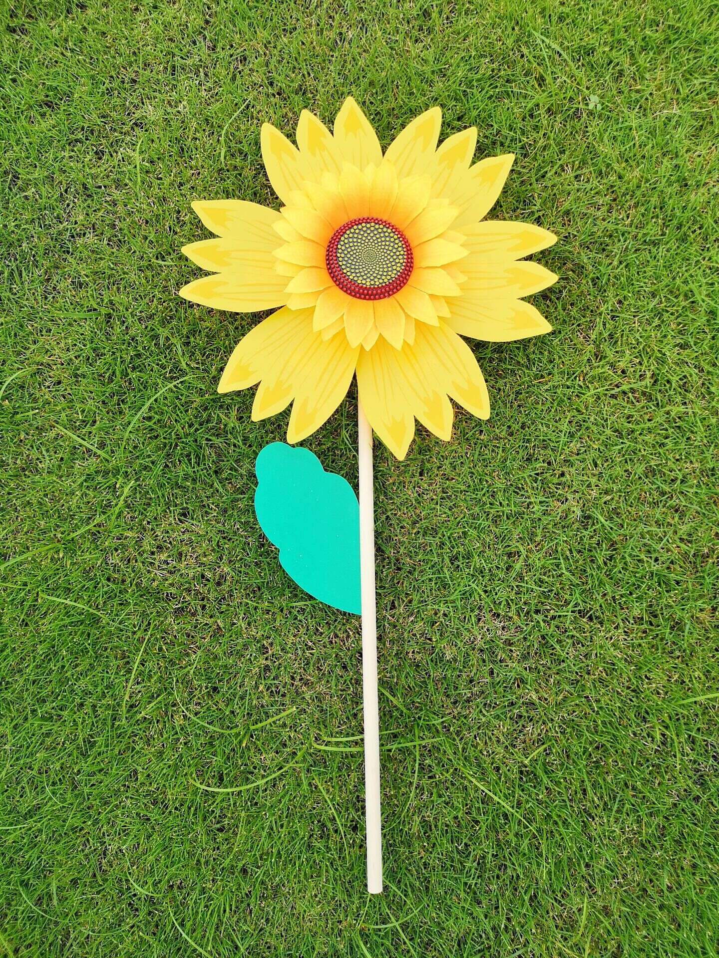 QQ图片20200622133647