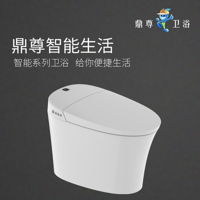 Dingzun Supplying ceramics intelligence closestool multi-function Integrated water tank intelligence pedestal pan