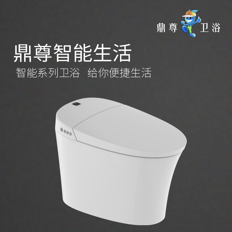 Dingzun Supplying ceramics intelligence closestool multi-function Integrated water tank intelligence pedestal pan