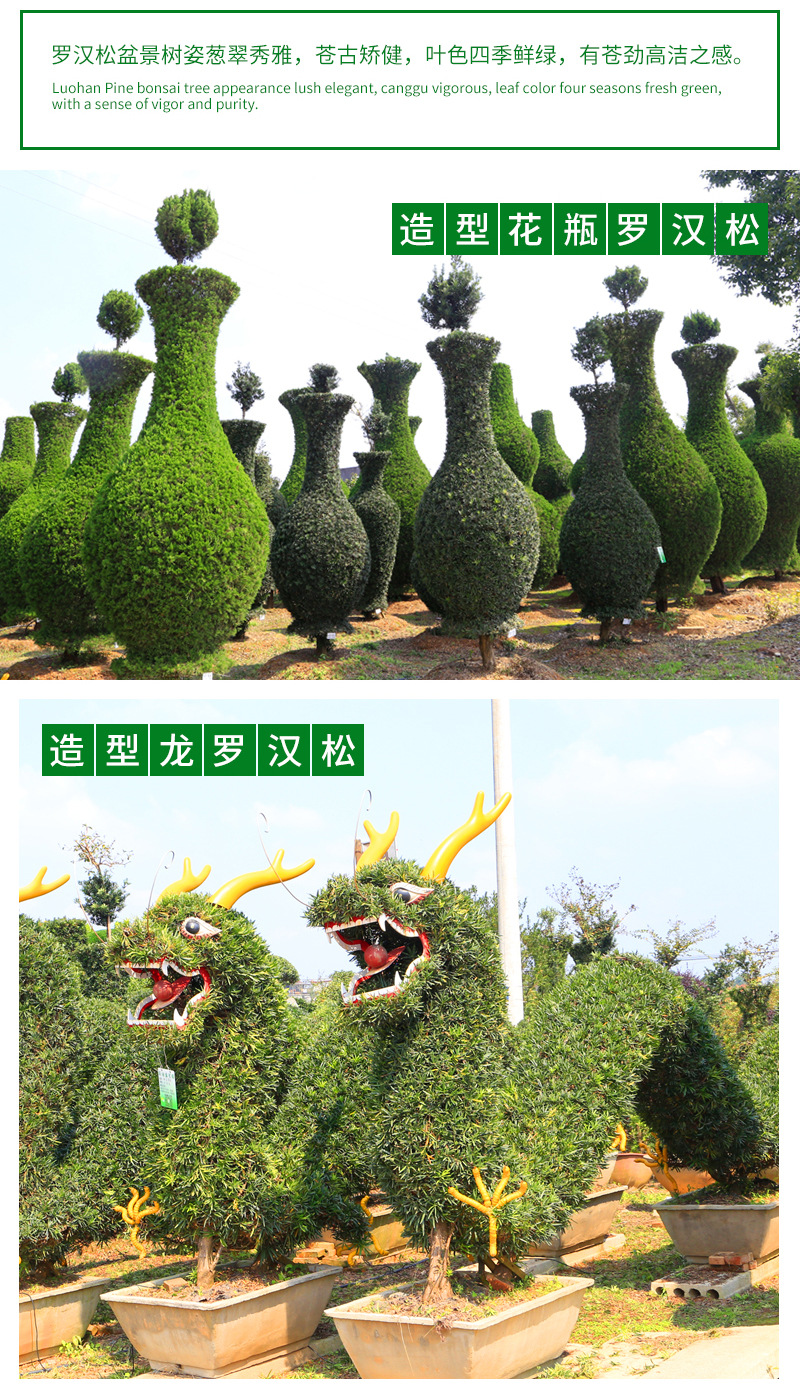 �޺���-����_06