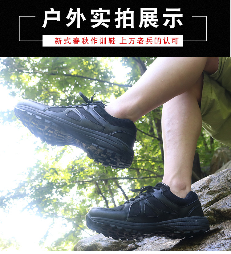 16作训详情新2020_11