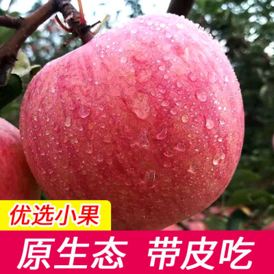 【水果批发】红富士苹果新鲜当季时令水果新鲜膜袋水果整箱批发
