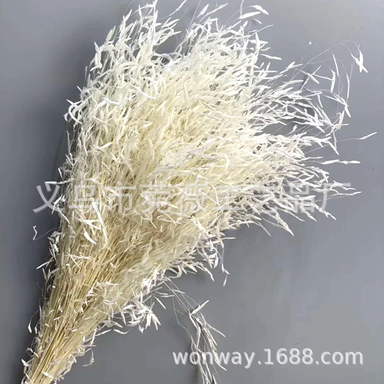 微信图片_20200209024548