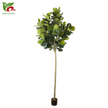 �G퍷���ֲ�ﱱ�W�L3�״������~�� ���J���辰�W�t�Ҿ��b[��