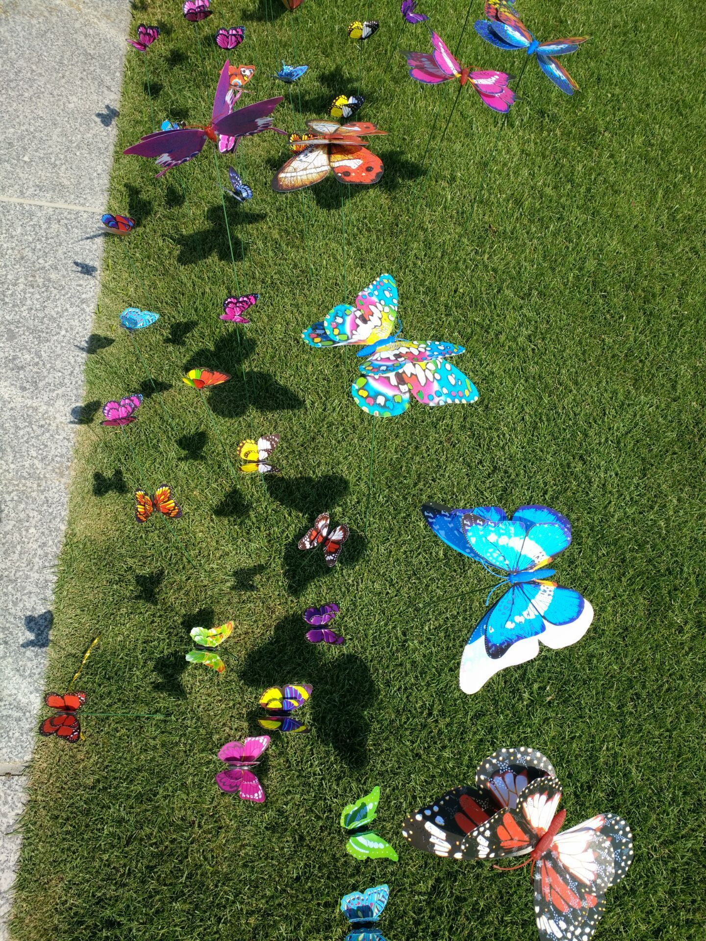 QQ图片20200506120455