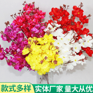 }Сһ֦Pβ һ÷ YcҾӹb