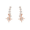Sophisticated zirconium, universal advanced earrings, pendant, high-quality style
