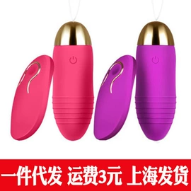 其他情趣用品;情趣跳蛋;后庭用品