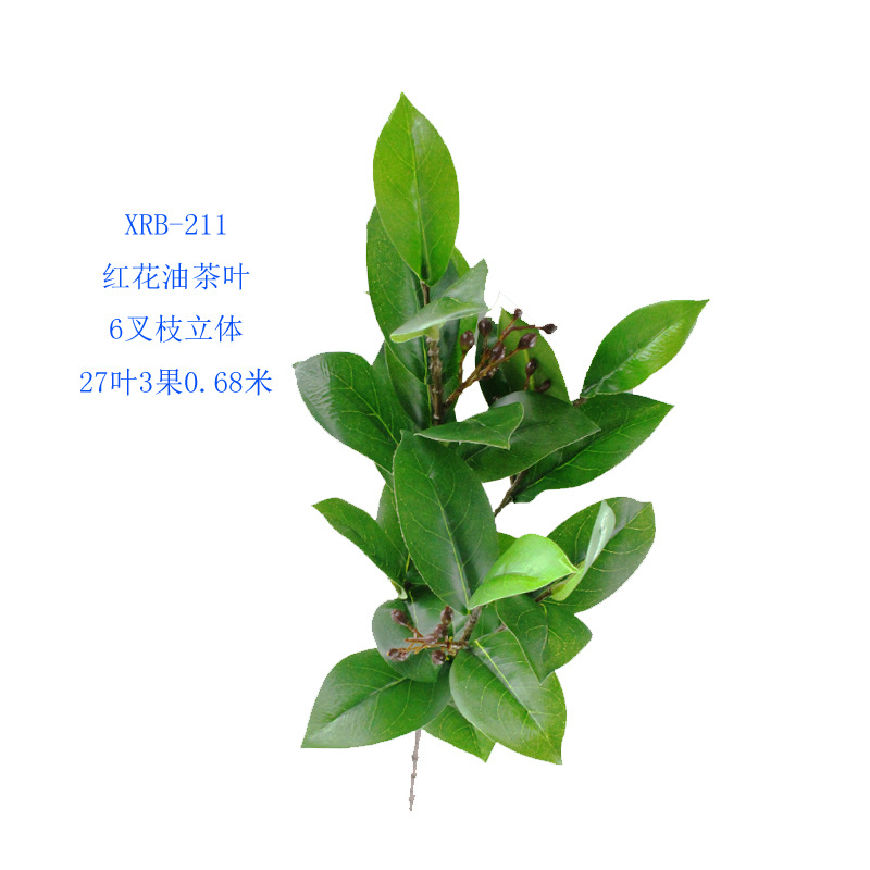 XRB-211 红花油茶叶6叉枝立体2.jpg