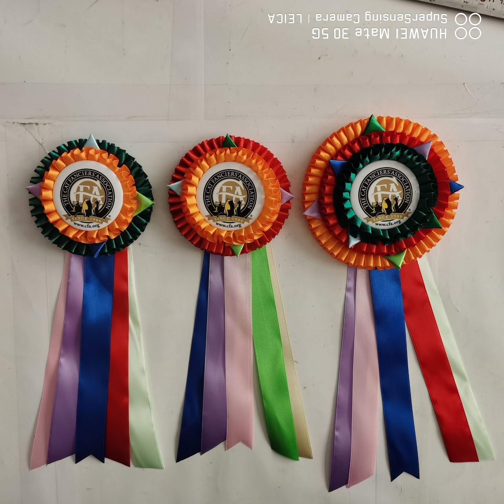 QQ图片20200814081644