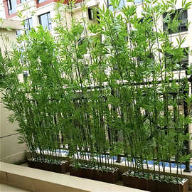 仿真竹子装饰加密塑料假竹子隔断屏风室内室外装饰人造竹子毛竹