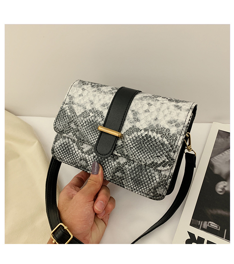 New Fashion All-match Retro Snakeskin Pattern Chain Small Square Bag display picture 8