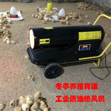 �S�����I���L�C ���ܐa�ؿ������ز�ů�O�� �Bֳ����ů�L�C