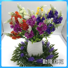 �����L���� �������ϻ� ��c��������