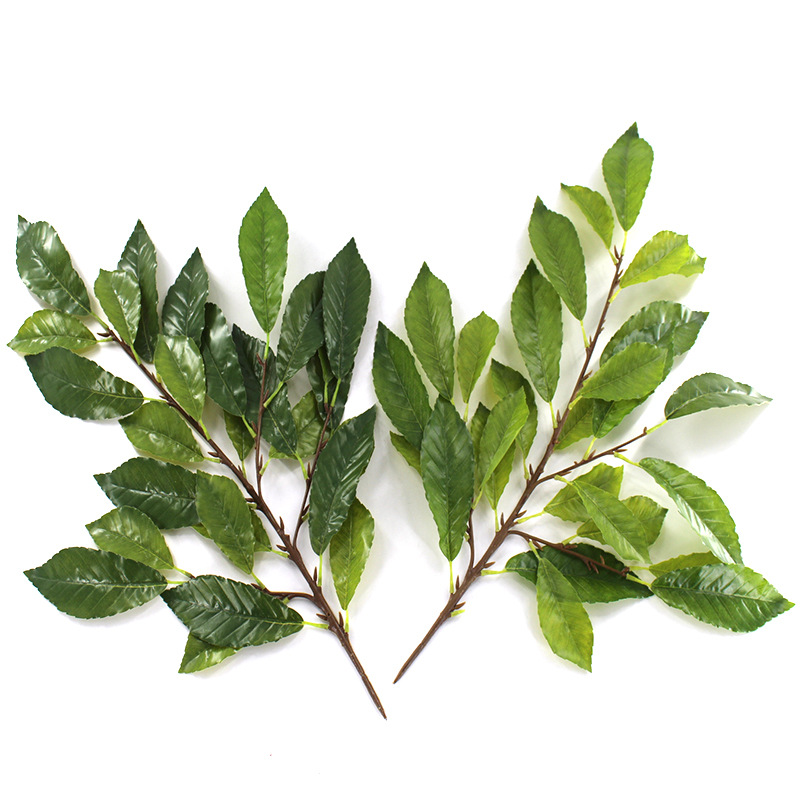 XRB-119 青杠叶四叉枝秋色  (7).jpg