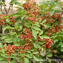 �޽ӻ����� �Ĵ��齷����ͥԺ���Ե��� ��t�ۻ����绨������