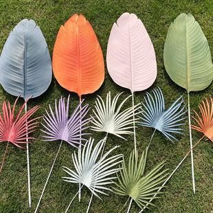 ���滨��c�����ô��~�����˽��~�����~ ����ֲ���ָ��~�廨�F؛