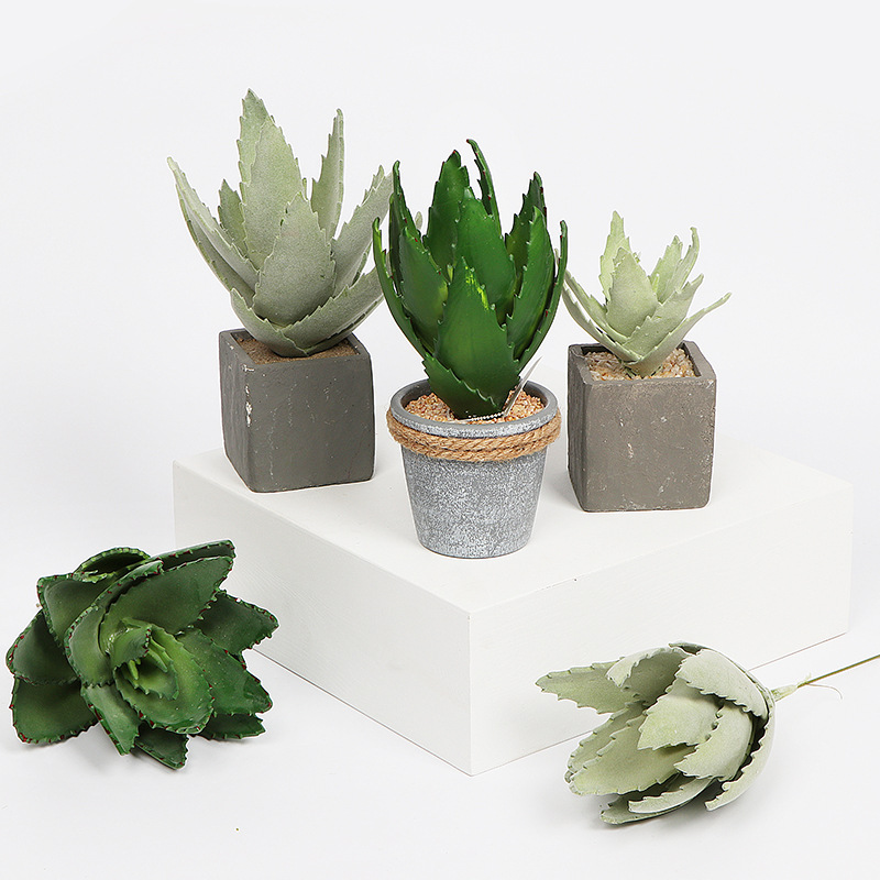 Nordic style simulation of succulent aloe plant resin