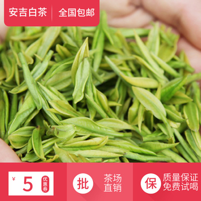 2021新茶500克散装浙江安吉山区特产清香凤形安吉白茶