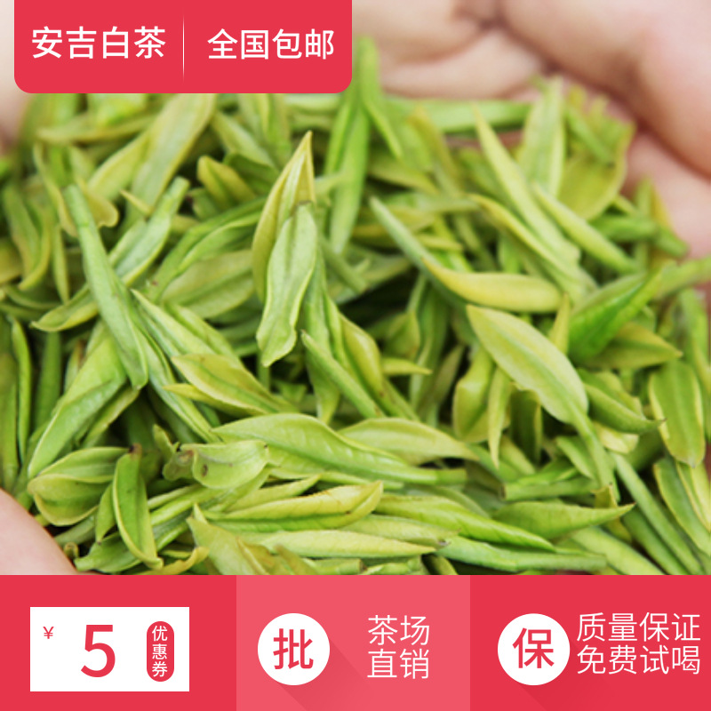 2021新茶500克散装浙江安吉山区特产清香凤形安吉白茶