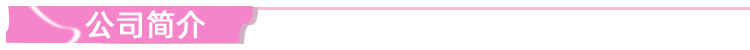 1公司简介