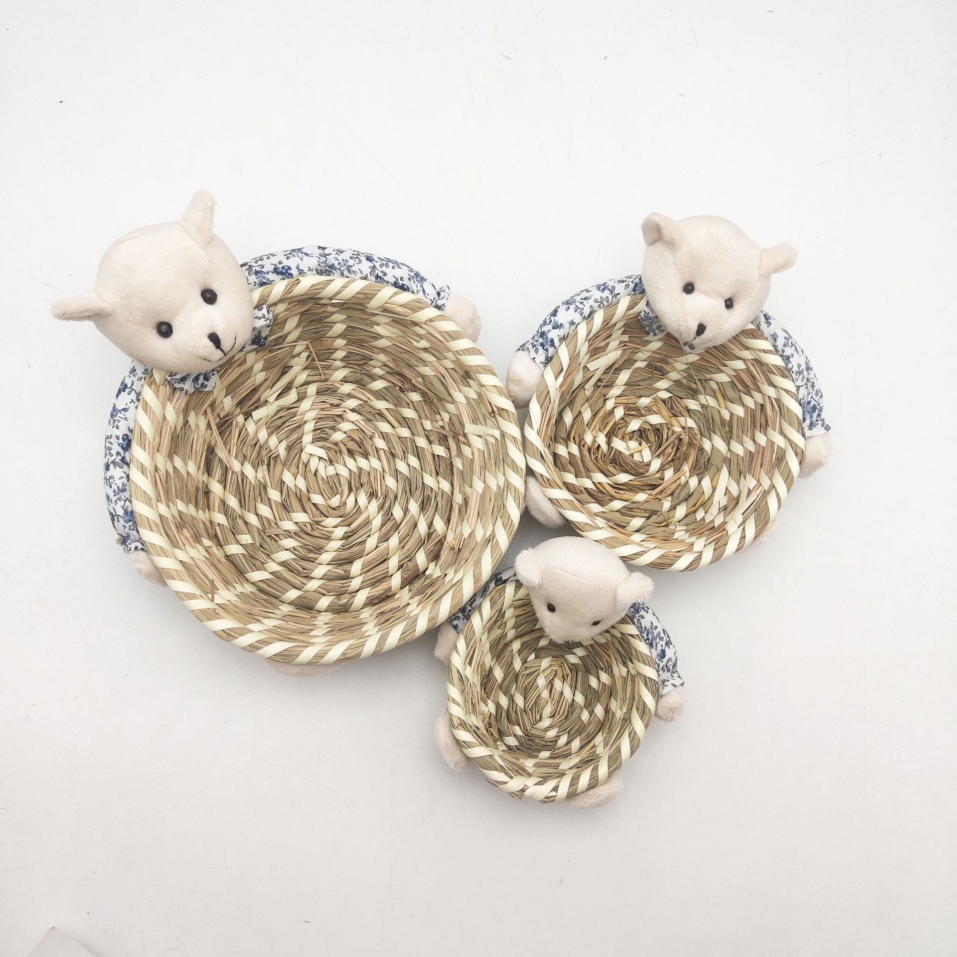 0c21136589fc92a8593c927ef90398