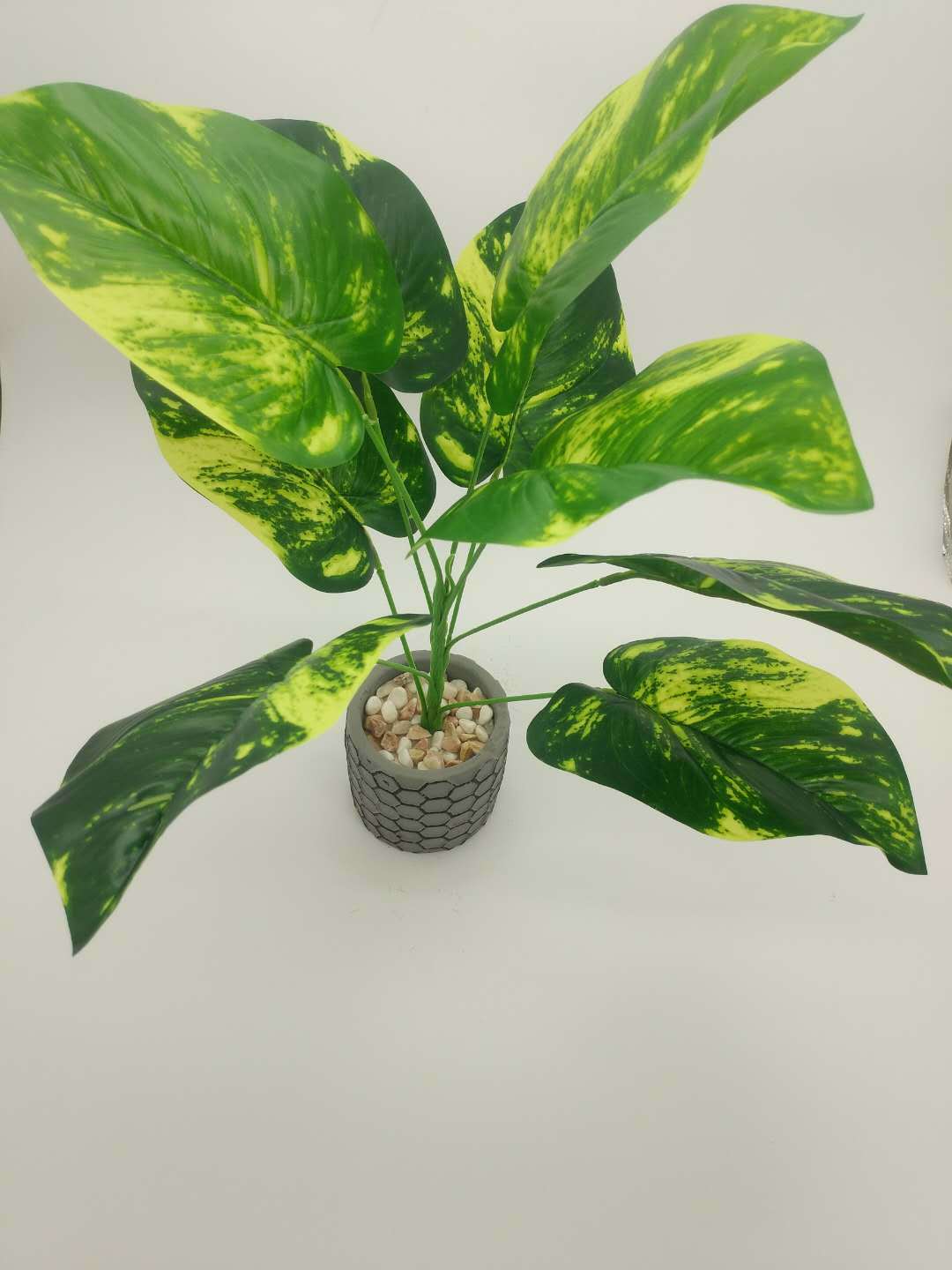 WeChat 圖片_20200708102511