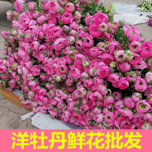 ��ĵ���r�����lëݢ�r�����l����r������ֱ���r�л���c�[���Fُ