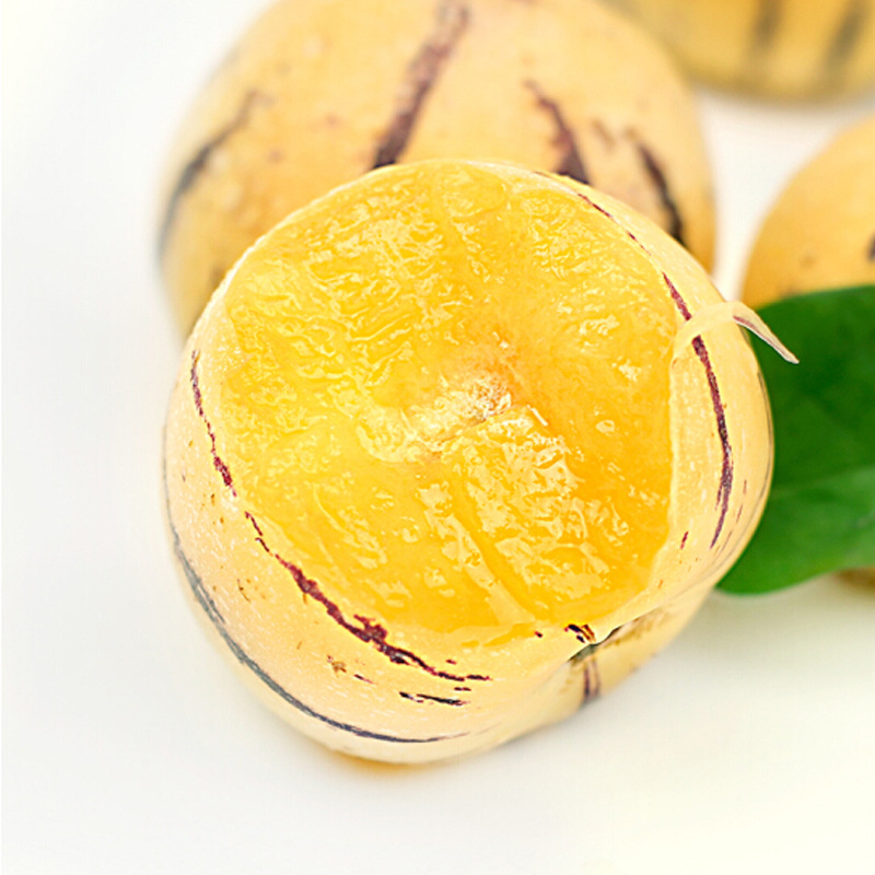 Yunnan Stone forest Ginseng fruit 5 fresh Should pregnant woman fruit life One piece On behalf of