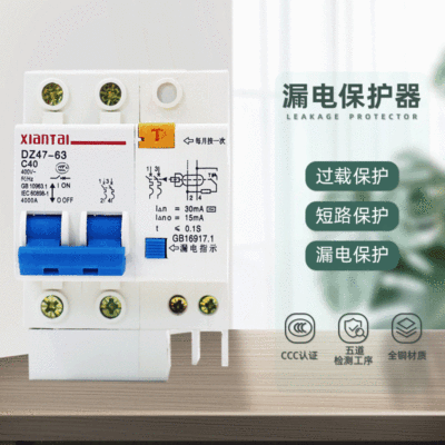 direct deal DZ47LE-2P40A Leakage protection household small-scale Electric leakage Circuit Breaker 2 Leakage protection
