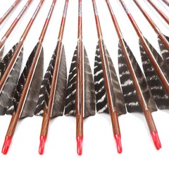 弓箭箭支純碳木紋原色條紋5寸火雞羽箭支撓度全傳統複合美獵使用