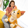 Plush toy, children's doll, pillow for sleep, new collection