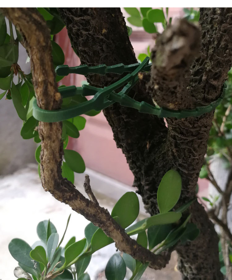 鱼骨刺_06.jpg