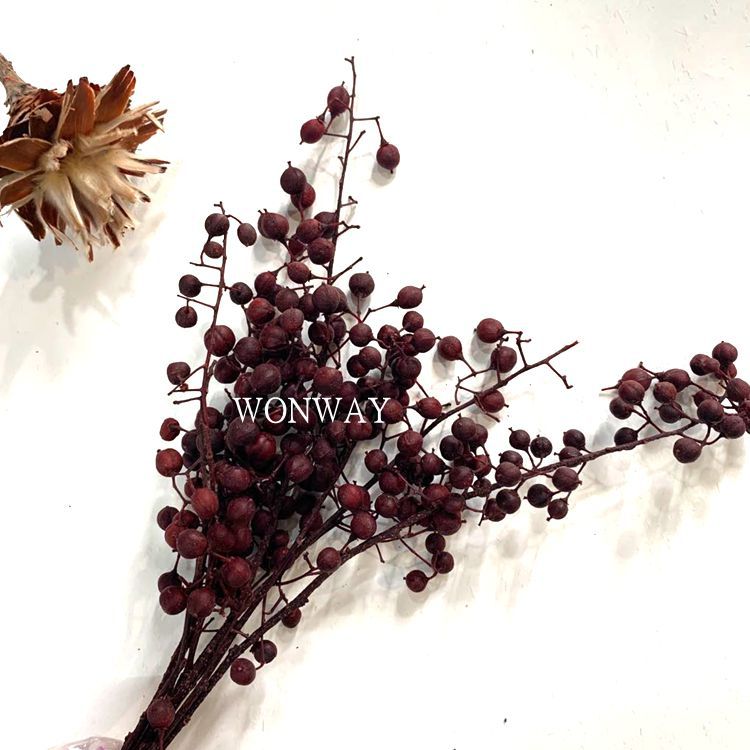 微信图片_20200224124806_副本