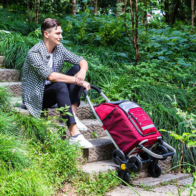 One piece On behalf of outdoors luggage trailer Trolley fold Portable Trolley Car the elderly Buy food Shopping Pull the car
