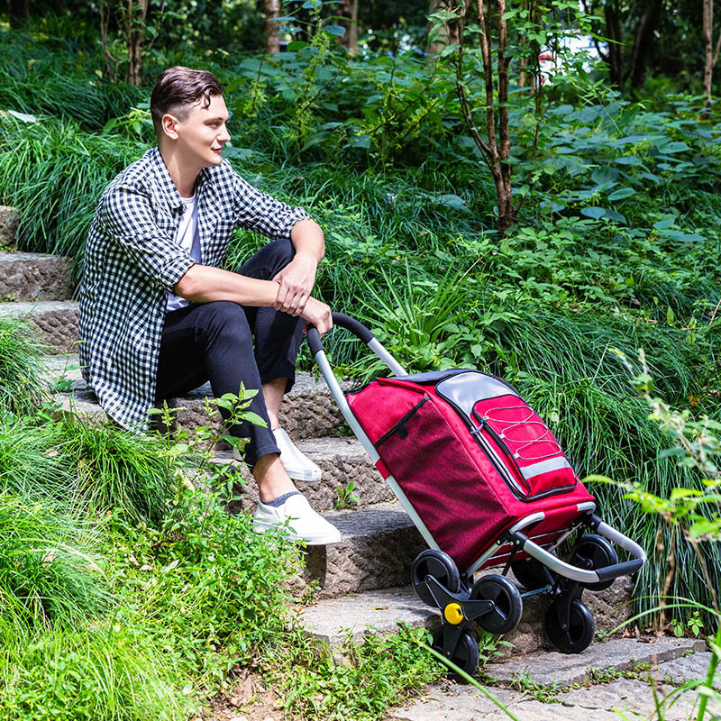 One piece On behalf of outdoors luggage trailer Trolley fold Portable Trolley Car the elderly Buy food Shopping Pull the car