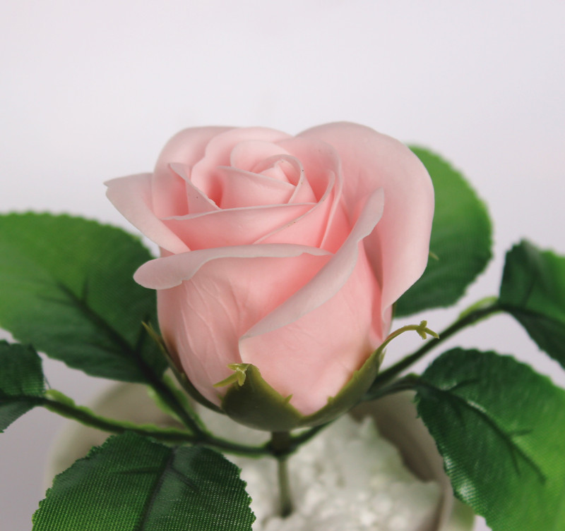 一键复制_20200227134215