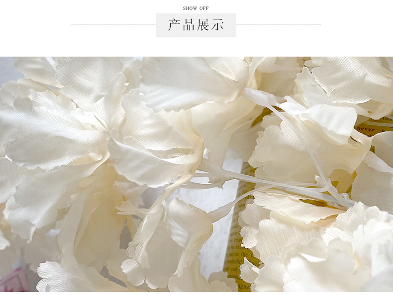 四叉飘雪_10.jpg